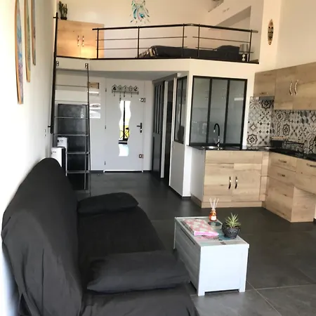 Mezzanine Cap D'agde Vue Sur Port Et Apartment *